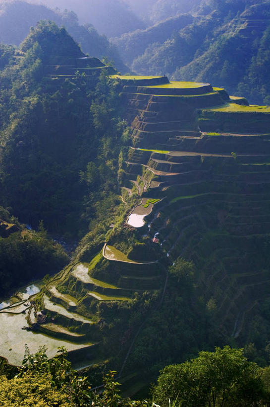 无人,竖图,室外,菲律宾,亚洲,稻田,地标建筑,摄影,东南亚,吕宋岛,彩图,菲律宾人