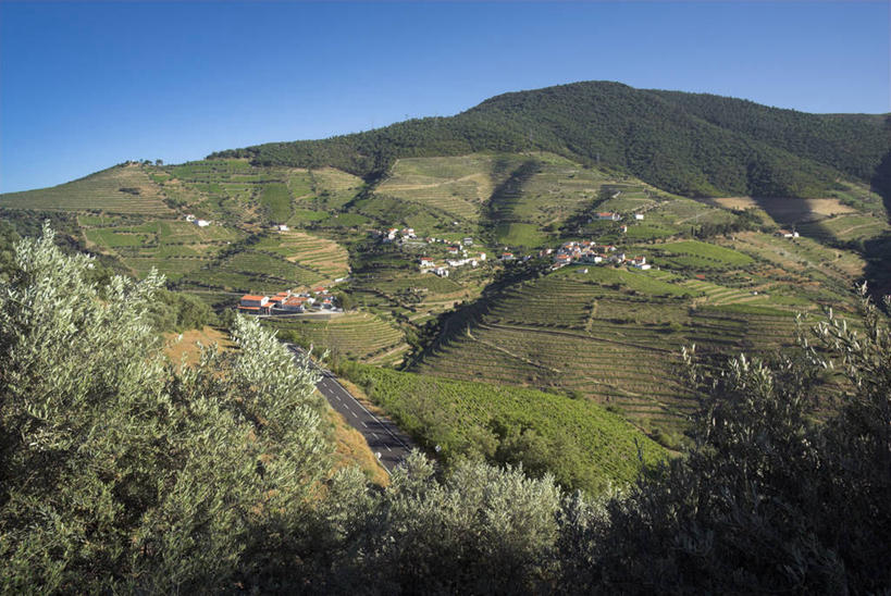 无人,横图,室外,葡萄牙,欧洲,北,葡萄园,杜罗河,摄影,西欧,伊比利亚半岛,彩图