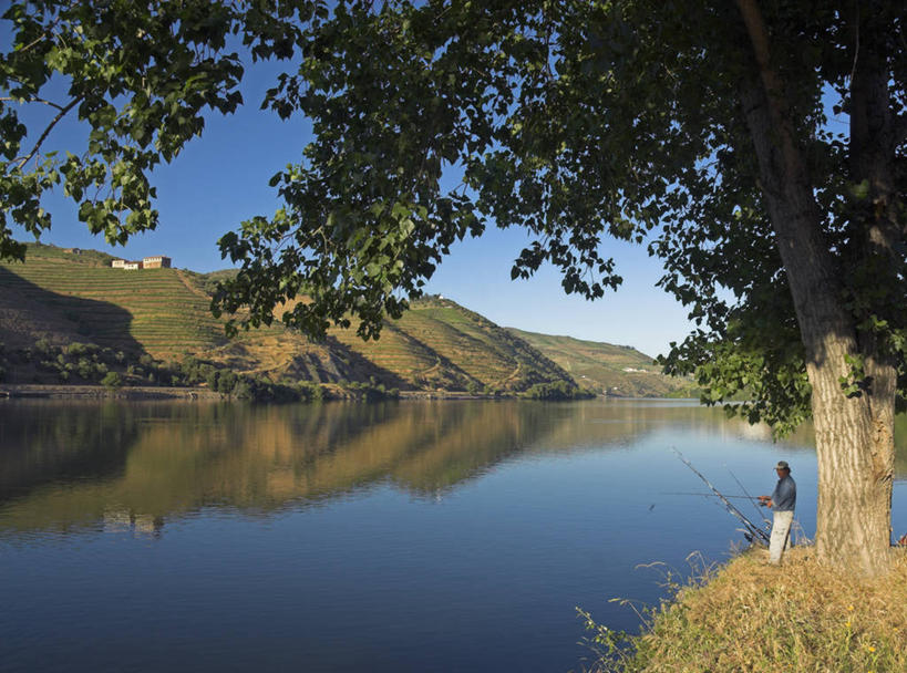 横图,室外,葡萄牙,欧洲,北,葡萄园,杜罗河,摄影,西欧,伊比利亚半岛,彩图,钓鱼