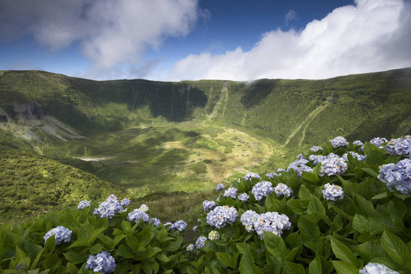 无人,横图,室外,骄傲,火山,八仙花,葡萄牙,欧洲,岛,火山口,绣球花,大西洋,摄影,紫阳花,洋绣球,西欧,草绣球,斗球,七变化,粉团花,善变,亚速群岛,大西洋群岛,法亚尔岛,活火山,彩图