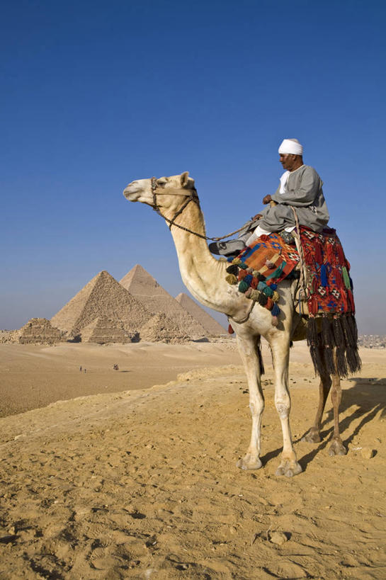成年人,一个人,竖图,非洲,埃及,开罗,仅一个男性,首都,骆驼,地标建筑,金字塔,摄影,中东,肖像,北非,埃及文化,吉萨,男人,彩图