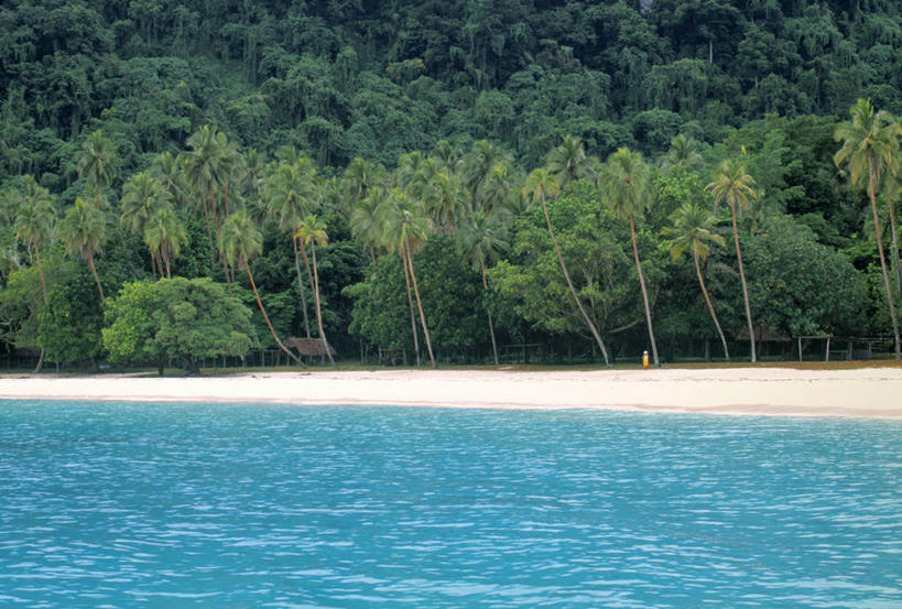 无人,横图,室外,海洋,棕榈树,瓦努阿图,岛,地标建筑,摄影,热带气候,南太平洋,海滩,彩图