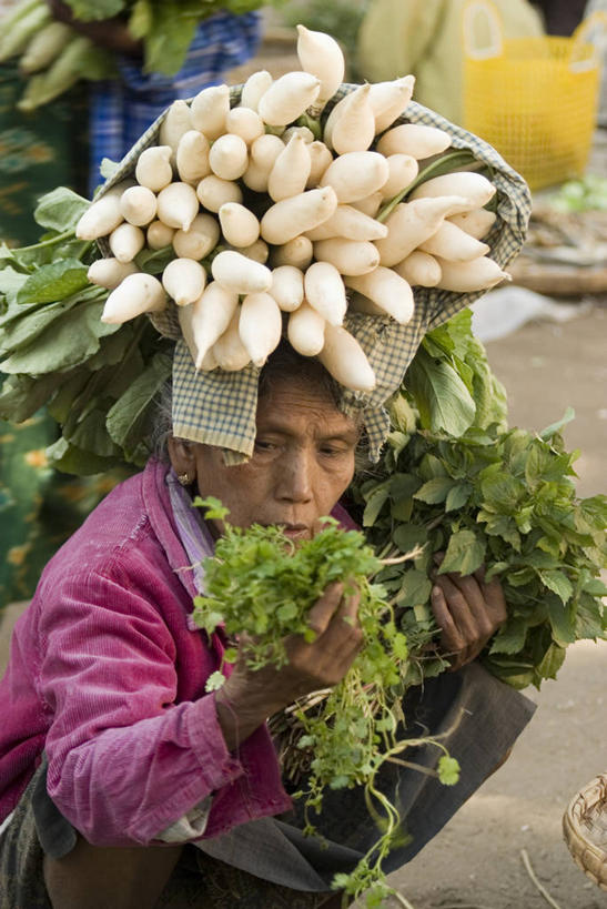 成年人,一个人,竖图,蔬菜,缅甸,亚洲,仅一个女性,市场,摄影,东南亚,运送,蒲甘,女人,彩图