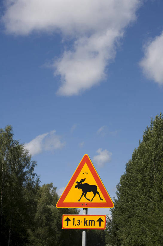 无人,竖图,欧洲,摄影,西欧,北欧,彩图