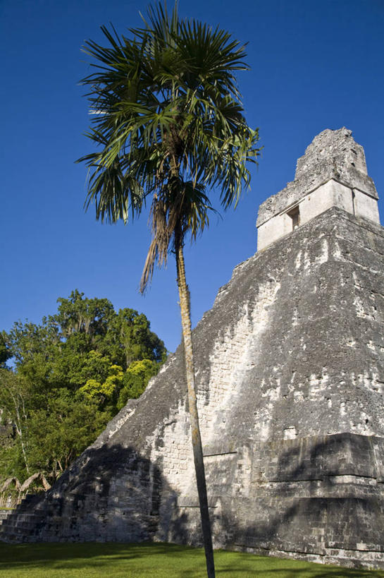 无人,竖图,危地马拉,历史,废墟,地标建筑,摄影,考古学,中美洲,拉丁美洲,玛雅文明,彩图,迪卡尔