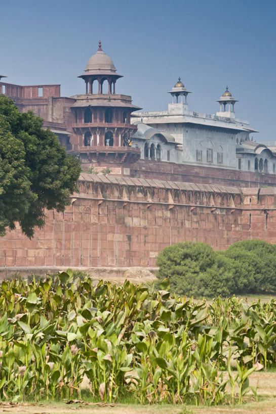 无人,竖图,城市,印度,亚洲,摄影,阿格拉,北方邦,阿格拉城堡,彩图