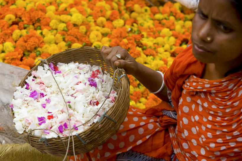 一个人,横图,孟加拉国,印度,亚洲,花市,摄影,南亚,孟加拉人民共和国,加尔各答,印度次大陆,彩图