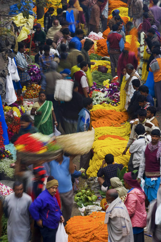 竖图,孟加拉国,印度,亚洲,花市,摄影,南亚,孟加拉人民共和国,加尔各答,印度次大陆,彩图