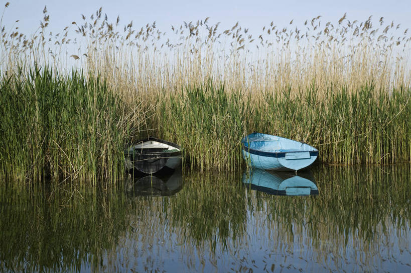 无人,横图,室外,湖,船,芦苇,欧洲,风景,摄影,巴尔干,奥赫里德,彩图