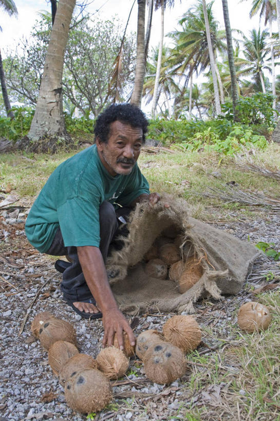 成年人,老年人,一个人,竖图,室外,海洋,美景,马绍尔群岛,密克罗尼西亚,仅一个男性,仅一个人,岛,景观,乡村,自然,仅一个老年男性,景色,摄影,太平洋,热带气候,自然风光,大洋洲,北太平洋,珊瑚岛,老年男性,男人,男性,彩图
