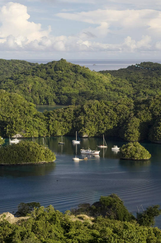 无人,竖图,俯视,室外,旅游,度假,船,密克罗尼西亚,帕劳,岛,地形,游艇,首都,风景,摄影,太平洋,热带气候,客船,大洋洲,太平洋岛屿,彩图,高角度拍摄,旅行