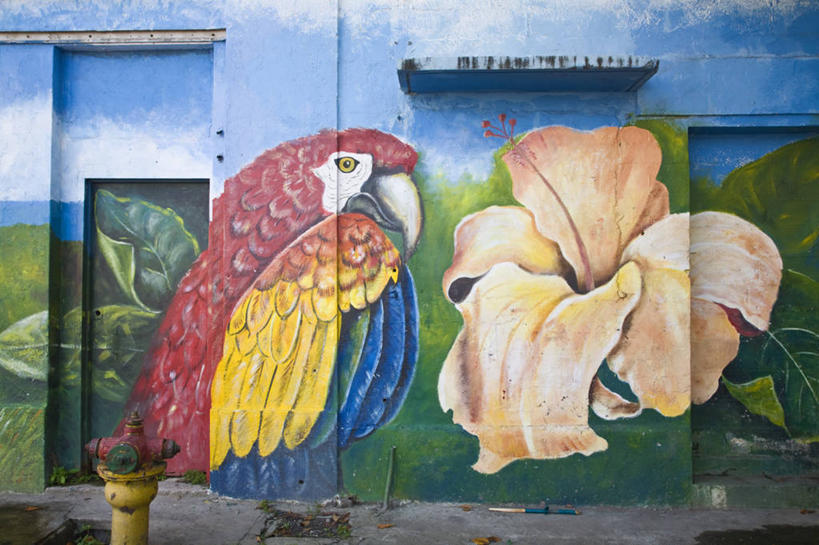 无人,横图,城市,首都,摄影,中美洲,拉丁美洲,圣菲利普,彩图