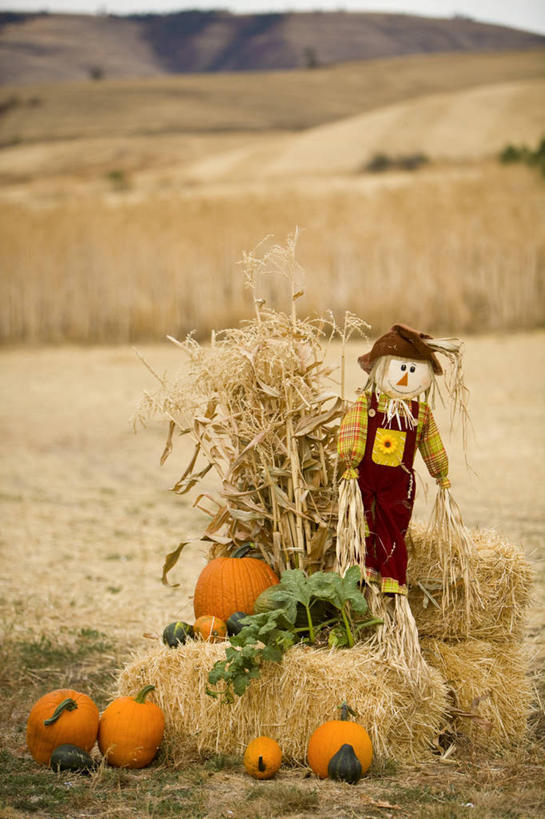 无人,农场,竖图,室外,草原,美景,南瓜,美国,景观,稻草人,自然,景色,摄影,北美,自然风光,美国人,彩图,大平原