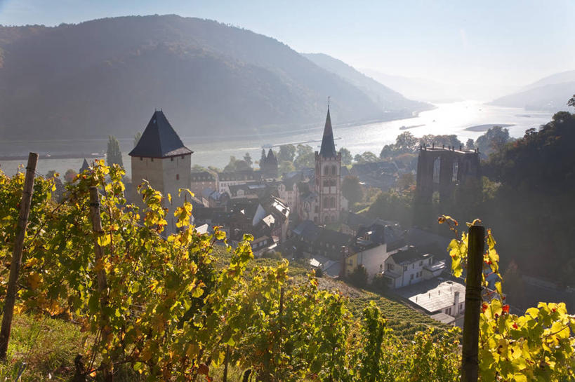 无人,横图,室外,白天,旅游,德国,欧洲,地形,乡村,葡萄园,风景,摄影,西欧,德意志联邦共和国,莱茵兰.普法尔茨州,彩图,旅行