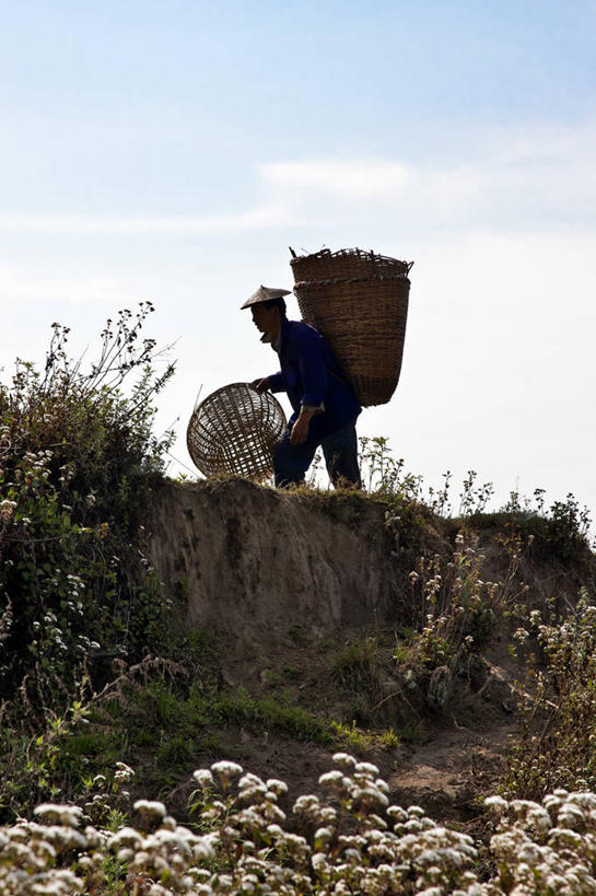 成年人,一个人,农民,竖图,室外,白天,留白,农业,帽子,不丹,仅一个男性,篮子,摄影,男人,彩图