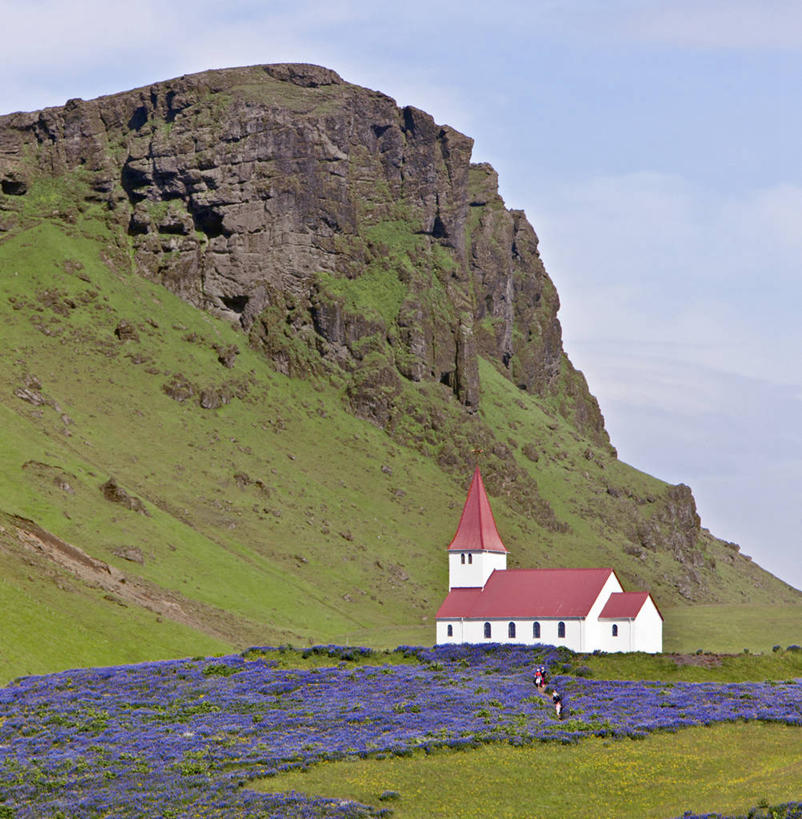 教堂,竖图,室外,白天,建筑,悬崖,花,蓝色,摄影,白羽扇豆,维克,彩图