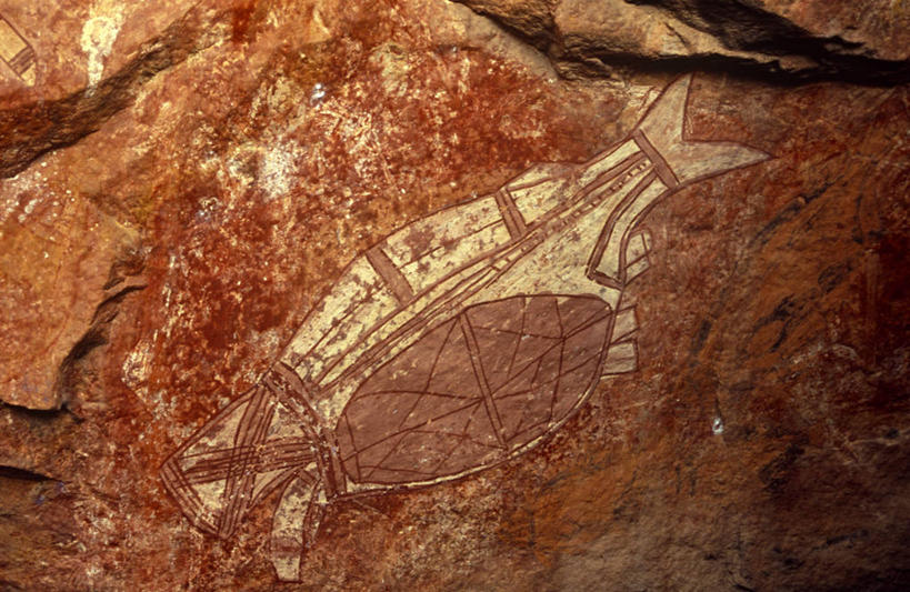 公园,横图,x光片,澳大利亚,辐射,科学,医学,摄影,医疗,科学技术,x射线,国家公园,作画,大洋洲,x光,澳洲,南方大陆,澳大利亚联邦,北领地,卡卡都国家公园,卡卡杜国家公园,土著人,岩石,彩图,旅行,电磁波,电磁辐射