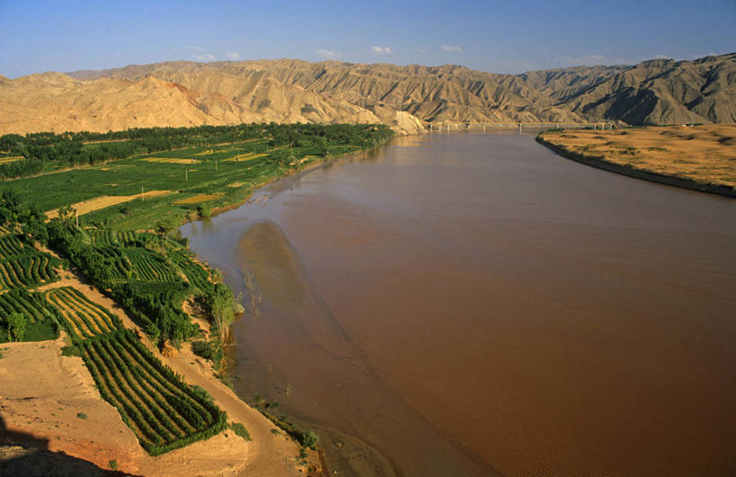 农场,横图,室外,农业,沙漠,黄河,亚洲,田地,绿色,摄影,宁夏回族自治区,彩图,旅行