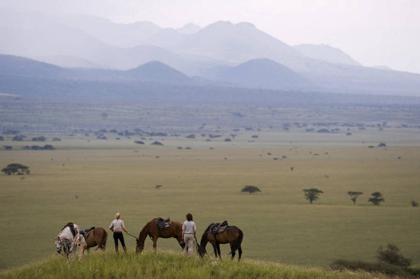 横图,马,非洲,肯尼亚,摄影,冒险,彩图,旅行