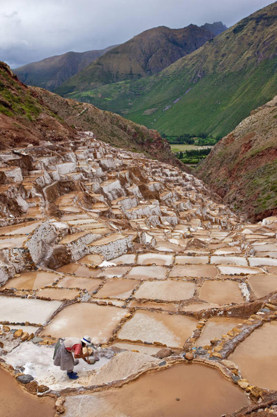 竖图,玉米,秘鲁,食品,南美,摄影,多样,比萨,拉丁美洲,彩图,旅行