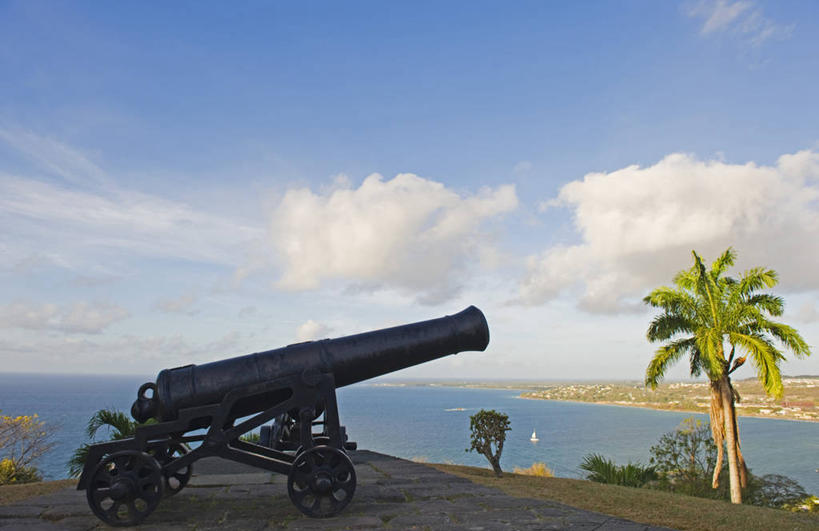 横图,海洋,水,棕榈树,加勒比海,特立尼达和多巴哥,城堡,地形,历史,炮,大西洋,摄影,热带气候,要塞,多巴哥岛,彩图