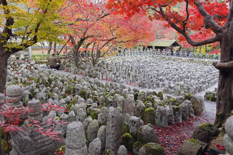 横图,室外,枫树,叶子,雕塑,日本,亚洲,一排,整齐,灯笼,雕像,地形,树,排列,红色,自然,墓地,摄影,京都府,环境,队列,东亚,本州,本州岛,日本国,近畿地方,近畿,岚山,秋天,彩图