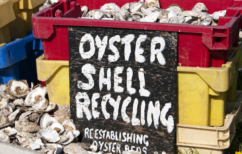 无人,横图,室外,白天,贝壳,英国,丰富,盒子,自然,摄影,英文字母,循环利用,海滩,彩图