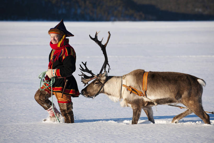 成年人,一个人,横图,室外,白天,侧面,美景,雪,芬兰,仅一个男性,景观,冬天,自然,景色,寒冷,摄影,自然风光,带领,写实,拉普兰,驯鹿,步行,彩图,传统服装,传统文化