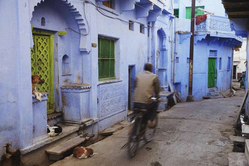 成年人,一个人,横图,室外,白天,运动模糊,城市,建筑,街道,自行车,狗,印度,亚洲,仅一个男性,三只,房屋,古城,车,脚踏车,骑,蓝色,交通工具,骑车,摄影,载具,拉贾斯坦邦,印度次大陆,男人,彩图,本迪,传统文化,巷