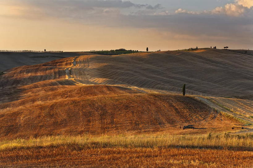 无人,横图,室外,白天,旅游,度假,农作物,日出,美景,日落,山,路,意大利,欧洲,景观,田地,谷类,娱乐,树,自然,享受,休闲,景色,放松,摄影,早晨,锡耶纳,自然风光,意大利文化,托斯卡纳区,维得斯卡,彩图,丝柏
