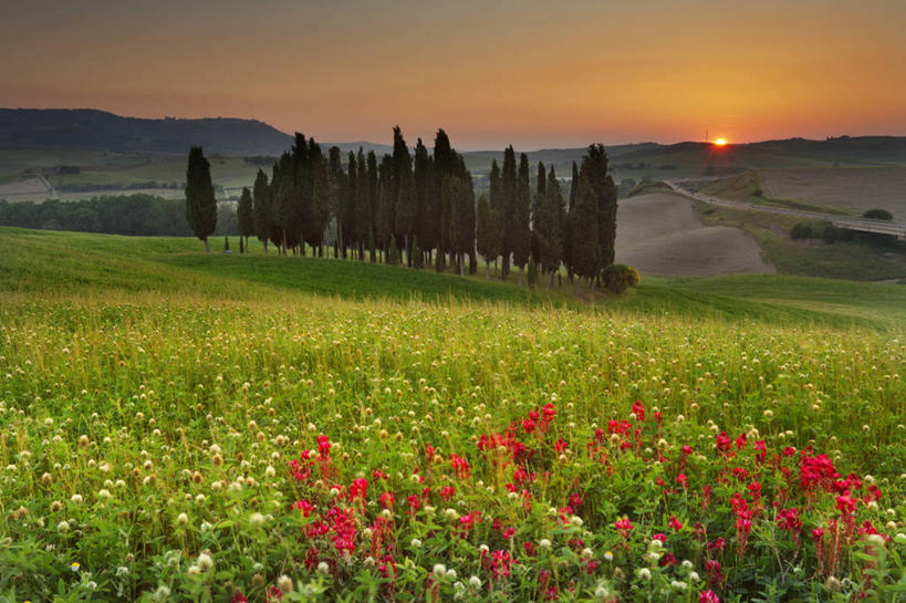 无人,横图,室外,白天,旅游,度假,日出,美景,日落,山,意大利,欧洲,景观,娱乐,花,树,自然,享受,休闲,景色,放松,摄影,早晨,自然风光,意大利文化,托斯卡纳区,维得斯卡,彩图,丝柏