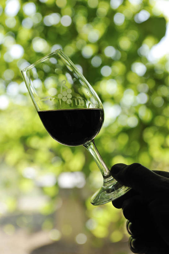 葡萄酒,手,一个人,竖图,室外,白天,葡萄牙,欧洲,覆盖,喝,装饰,饮食,饮料,地标建筑,人体,摄影,部分,葡萄酒杯,品酒,伊比利亚半岛,玻璃杯,彩图,托马尔,尝