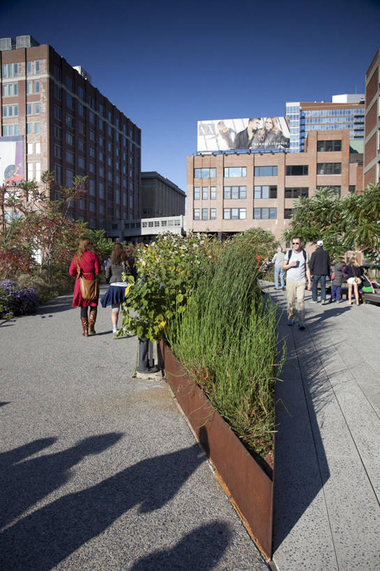 竖图,室外,白天,城市,建筑,日光,纽约,美国,阴影,花坛,曼哈顿,地标建筑,摄影,彩图