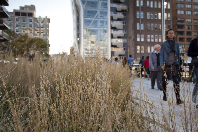 横图,室外,白天,正面,建筑,纽约,美国,行人,花坛,曼哈顿,地标建筑,摄影,干的,彩图