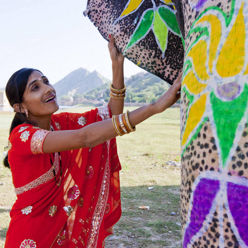 成年人,中年人,一个人,方图,室外,白天,印度,仅一个女性,仅一个人,装饰,仅一个中年女性,摄影,肖像,印度文化,纱丽,拉贾斯坦邦,风宫,斋普尔,女人,女性,中年女性,象,触摸,半身,彩图,传统服装,传统文化