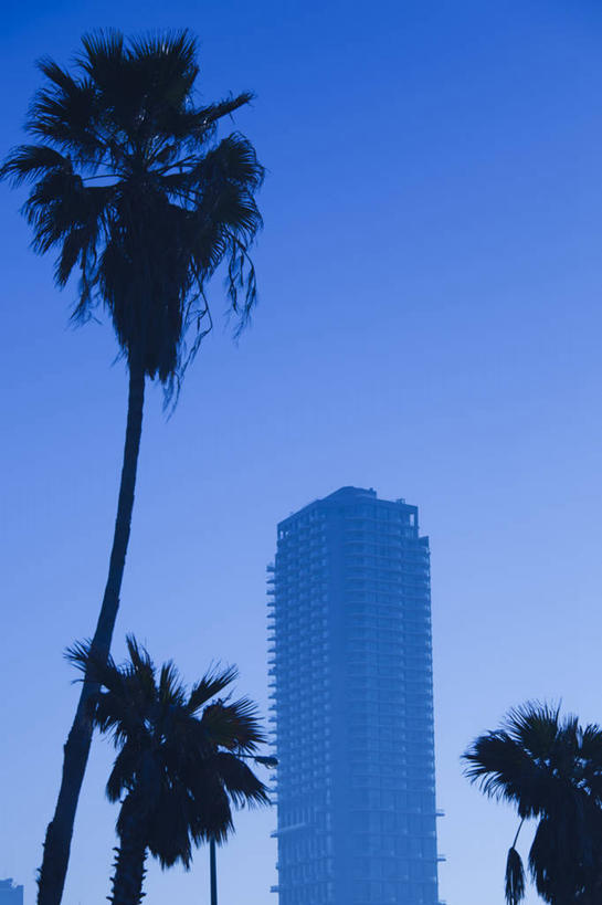 无人,竖图,室外,白天,商务,建筑,摩天大楼,棕榈树,以色列,黄昏,办公大楼,摄影,企业,公司,剪影,万里无云,特拉维夫,彩图