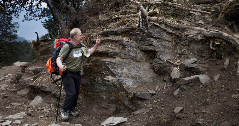 成年人,一个人,横图,室外,白天,旅游,度假,探险,尼泊尔,仅一个男性,冬天,娱乐,享受,休闲,放松,寒冷,摄影,背包客,登山杖,冒险,男人,休闲活动,彩图