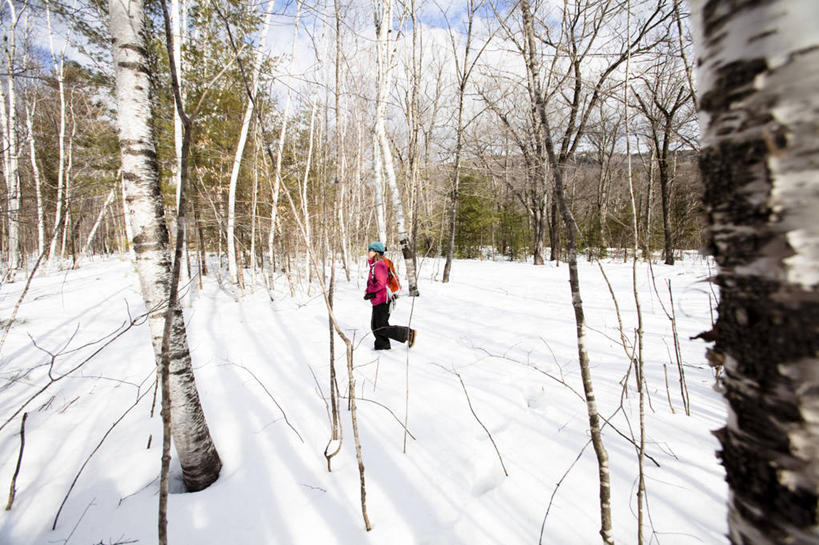 西方人,成年人,一个人,横图,室外,白天,旅游,度假,探险,森林,雪,欧洲,美国,欧洲人,仅一个年轻女性,仅一个女性,仅一个人,冬天,娱乐,树,享受,休闲,放松,寒冷,摄影,北美,北美洲,美洲,自由之州,阿肯色州,新罕布什尔州,北亚美利加洲,亚美利加洲,阿肯色,机会之地,自然州,新罕布什尔,新罕布夏州,花岗岩州,花冈岩之州,滑雪之州,新英格兰,纽英仑,冒险,年轻女性,女人,女性,白种人,年轻人,休闲活动,彩图,美利坚合众国,康韦县
