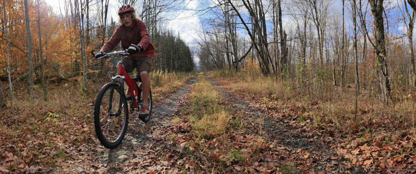 儿童,少年,一个人,横图,全景,室外,白天,留白,锻炼,旅游,度假,纯洁,运动,森林,自行车,美国,仅一个男性,仅一个人,山地车,娱乐,车,脚踏车,树,仅一个年轻男性,小孩,骑,交通工具,骑车,享受,休闲,放松,可爱,童年,童趣,摄影,载具,室外运动,户外运动,山地自行车,童真,烂漫,无邪,纽约州,阿迪朗达克州立公园,州立公园,天真,男人,男性,年轻男性,孩子,秋天,休闲活动,彩图,健身,旅行,对焦