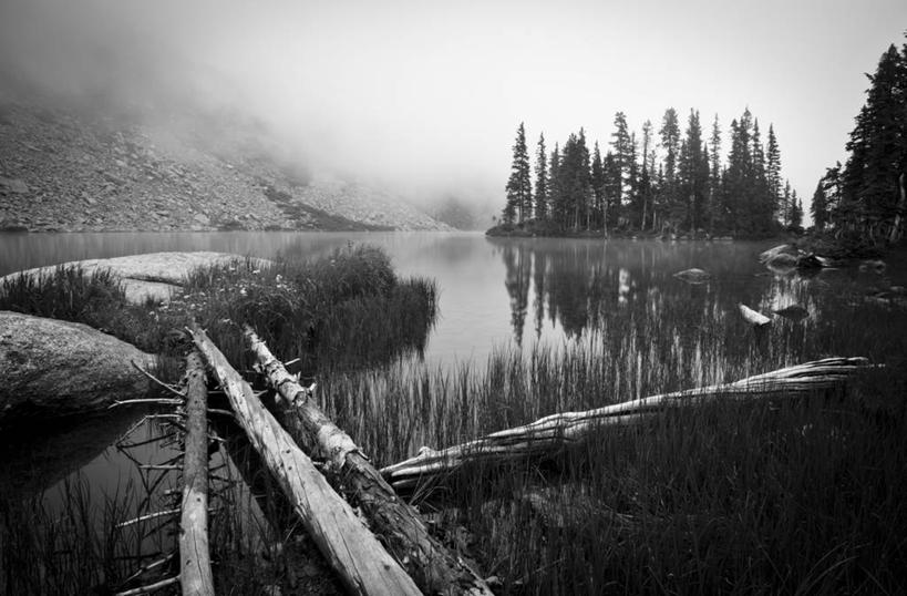 无人,横图,黑白,室外,白天,湖,水,雾,美国,反射,地形,风景,摄影,圆木,科罗拉多州,对焦