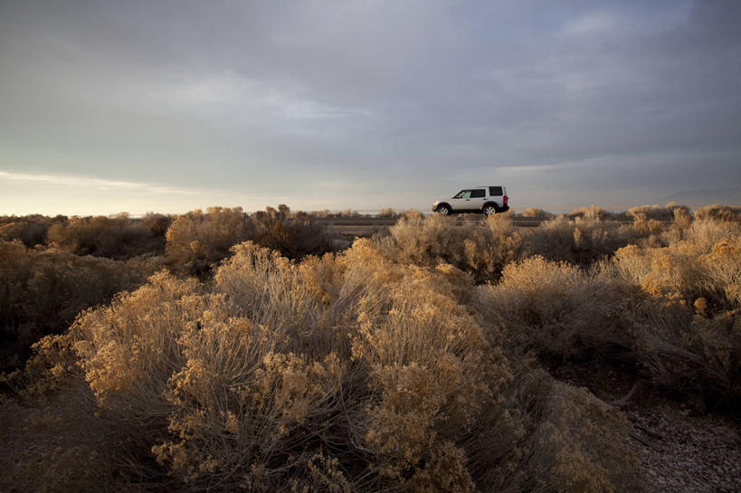 无人,横图,室外,白天,留白,美景,沙漠,美国,地形,景观,自然,景色,运输,摄影,生长,自然风光,犹他,彩图,山艾树,对焦,多功能车