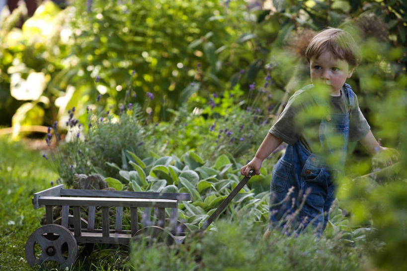 西方人,婴儿,儿童,一个人,拉,横图,室外,白天,游戏,纯洁,玩具,欧洲,美国,欧洲人,仅一个人,裤子,马车,玩,娱乐,车,小孩,交通工具,休闲,背带裤,可爱,童年,益智,摄影,活泼,活动,发泄,消遣,智力,载具,宝宝,纯真,烂漫,无邪,马萨诸塞,宣泄,饭单裤,工装裤,伶俐,天真,玩具车,白种人,孩子,玩耍,嬉戏,彩图,对焦,贝弗利