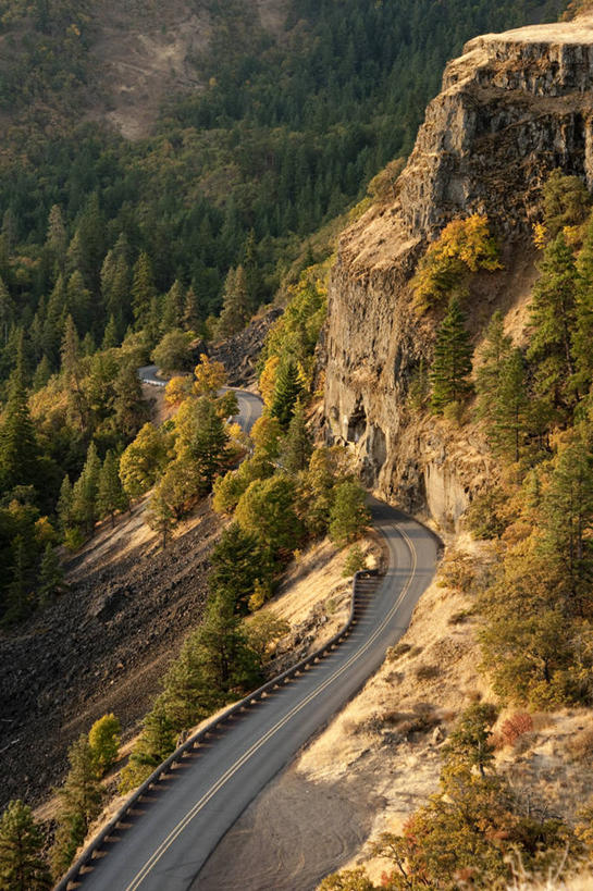无人,竖图,俯视,室外,白天,旅游,度假,美景,森林,山,路,美国,地形,景观,山路,悬崖,娱乐,树,风景,自然,享受,休闲,景色,放松,摄影,宁静,北美,自然风光,俄勒冈州,胡德河峡谷,彩图,高角度拍摄