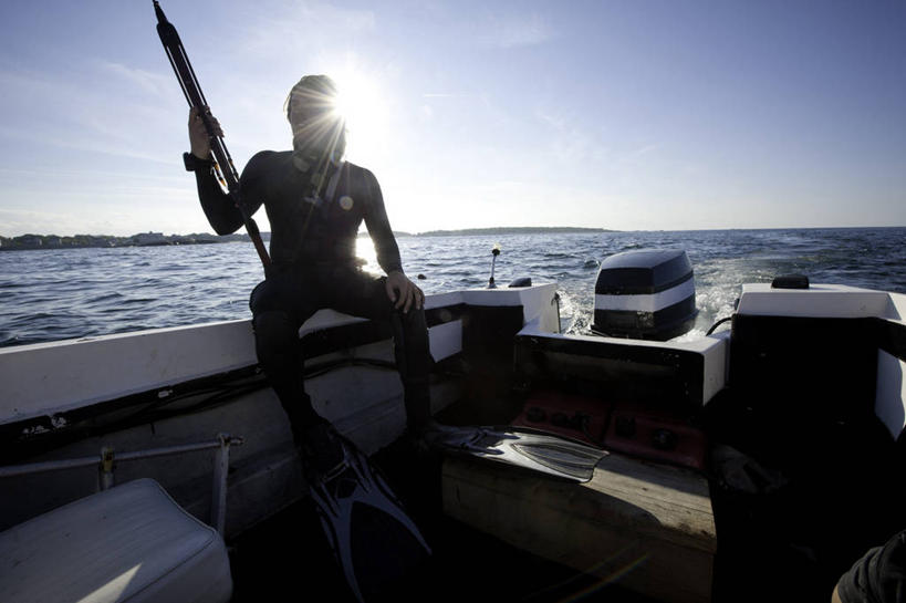 成年人,一个人,坐,横图,室外,镜头眩光,探险,海洋,日落,太阳,美国,仅一个男性,仅一个人,水平线,仅一个年轻男性,运输,潜水,摄影,甲板,鱼叉,剪影,摩托艇,冒险,男人,男性,年轻男性,年轻人,彩图