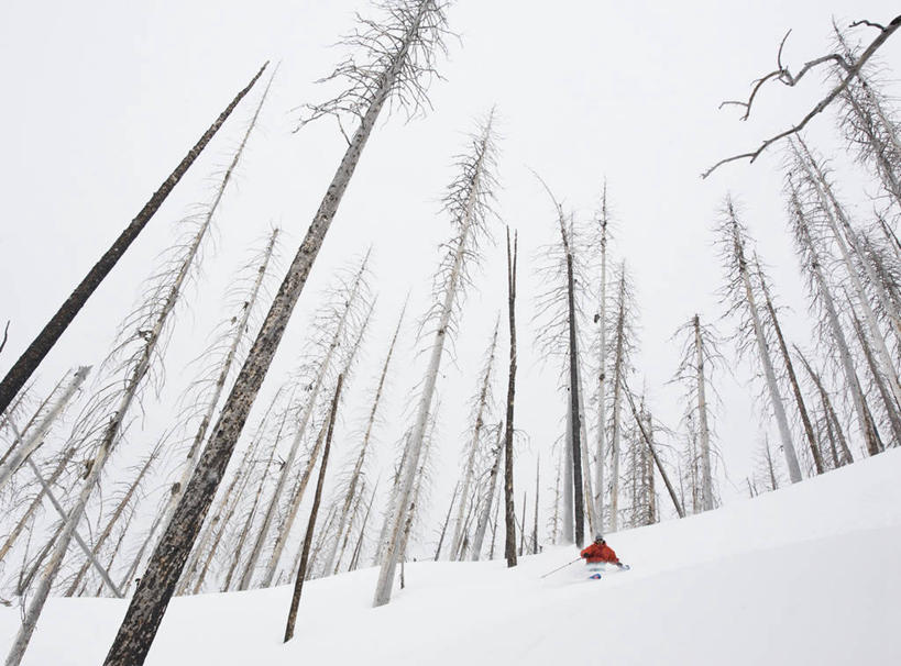 一个人,横图,室外,白天,仰视,森林,雪,美国,废弃,朦胧,模糊,冬天,极限运动,风景,寒冷,摄影,销毁,蒙大拿州,森林火灾,下移,技能,烧毁,彩图,低角度拍摄