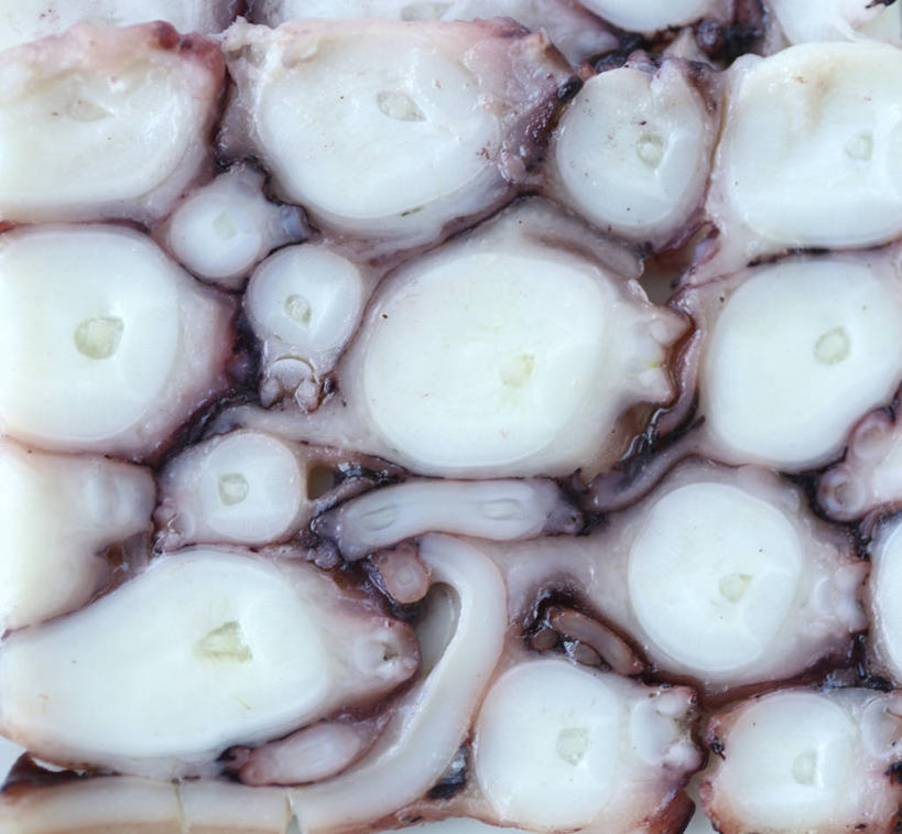 寿司,无人,横图,俯视,室内,特写,鱿鱼,意大利,生食,日本料理,食品,饮食,摄影,创造力,清新,健康食物,坎帕尼亚,索伦托,海产,彩图,高角度拍摄,全画面,全框架,全帧,全画幅