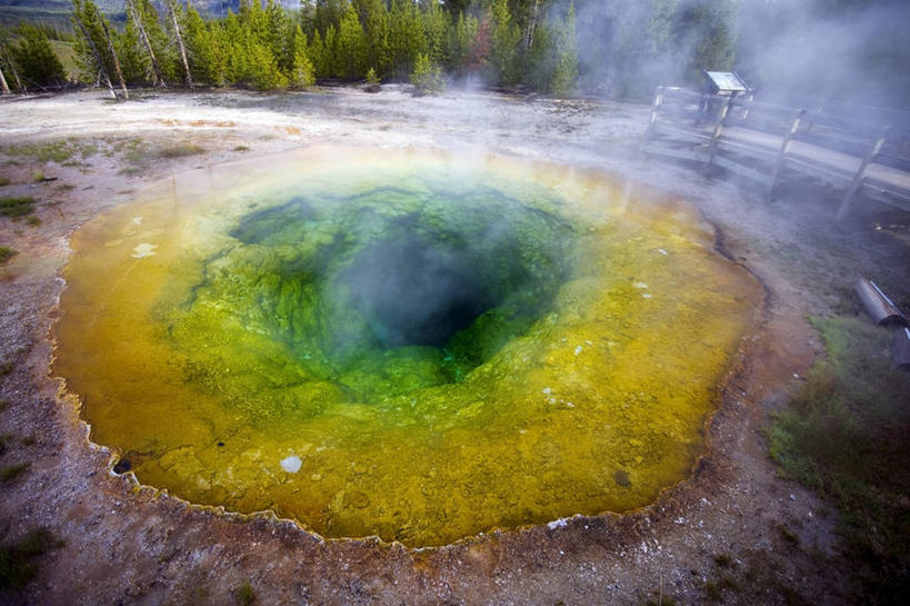 无人,横图,俯视,室外,白天,温泉,美国,细菌,蒸汽,地形,黄色,地标建筑,摄影,木板路,北美,北美洲,美洲,怀俄明,黄石公园,间歇泉,常绿树,北亚美利加洲,亚美利加洲,地质学,彩图,高角度拍摄,美利坚合众国