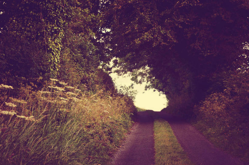 无人,横图,室外,白天,爱尔兰,草,树,自然,夏天,摄影,宁静,彩图,单行道