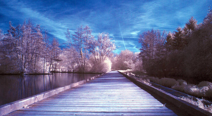 无人,横图,室外,白天,雪,云,联系,树,天空,自然,寒冷,摄影,人行桥,死水,彩图