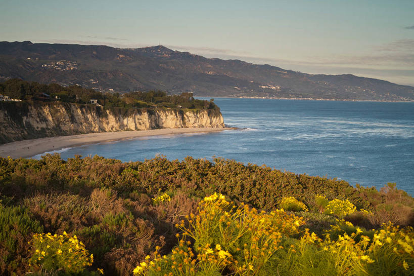 无人,横图,室外,海洋,美国,盛开,悬崖,花蕾,花,花瓣,花朵,鲜花,风景,天空,自然,黄昏,花苞,花蕊,摄影,灌木,宁静,太平洋,清新,加利福尼亚,金鸡菊,马里布,海滩,彩图